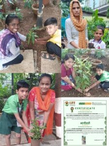Plant a Tree – 2025